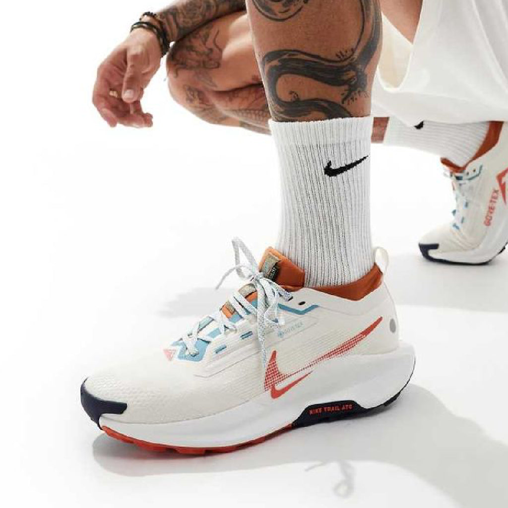 Nike Pegasus Trail,
