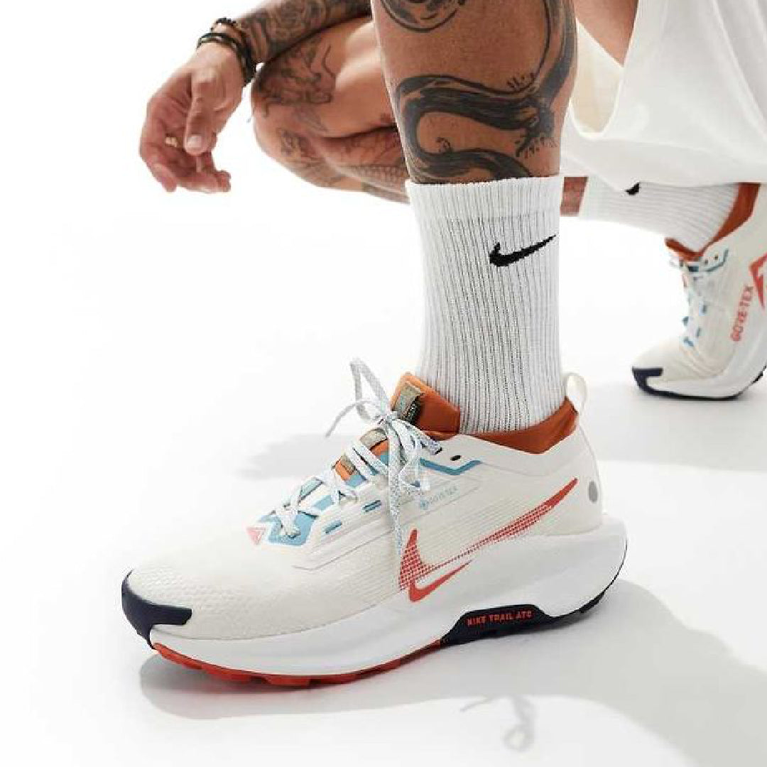 Nike Pegasus Trail,